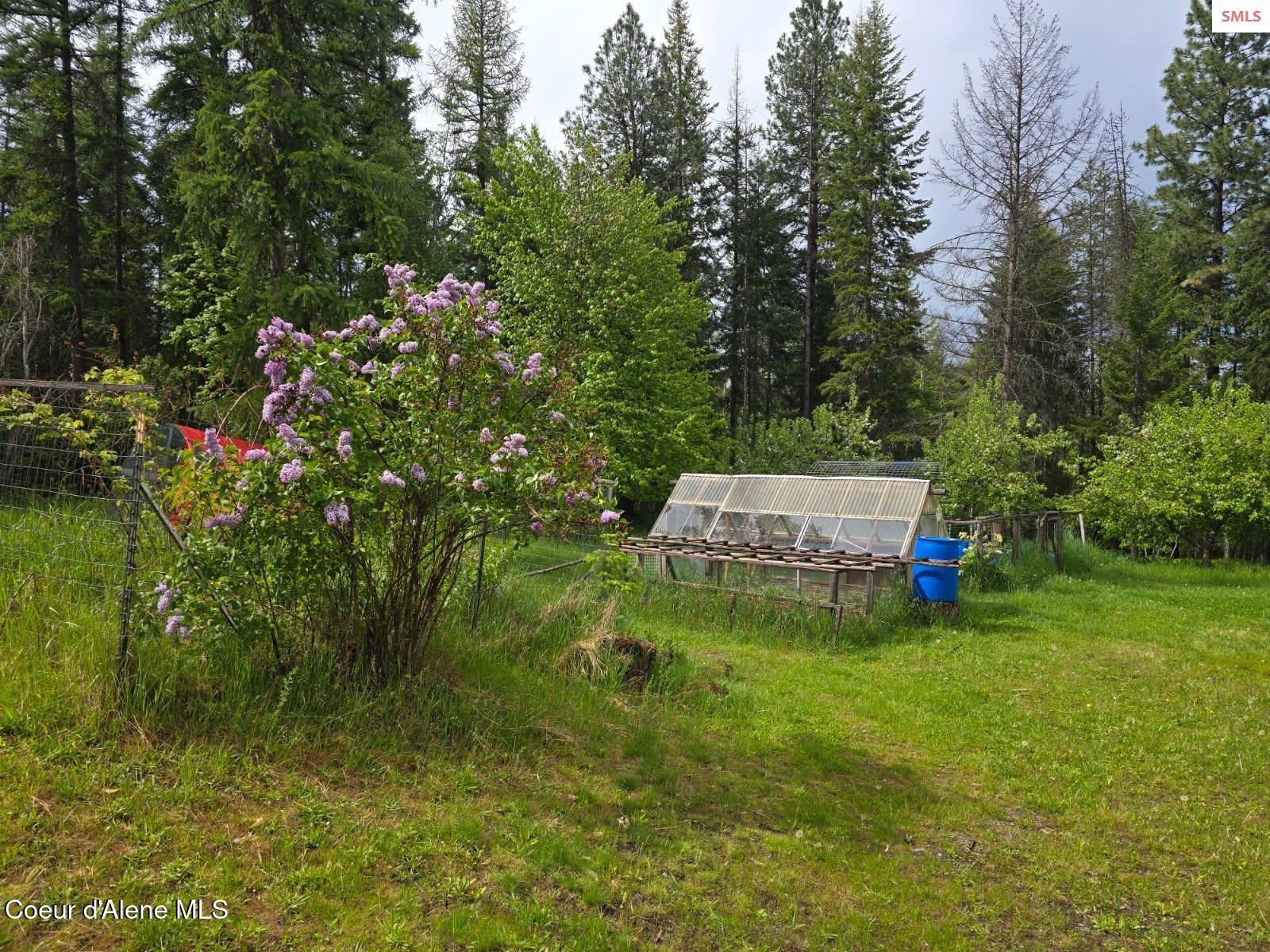327 Winter Road Moyie Springs, ID 83845 - Photo 10 of 26 winter10