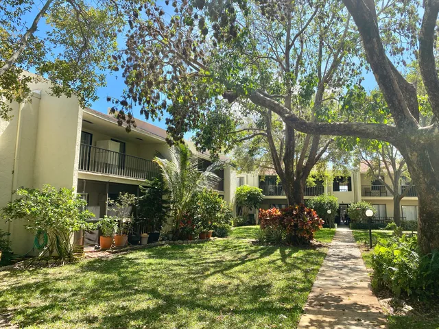 a view of a yard with plants and large trees