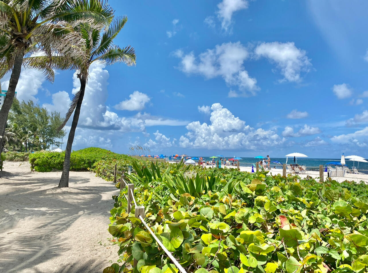 150 Pineview Road, Unit J5 Jupiter, FL 33469 - Photo 32 of 35 a view of a street with flower plants