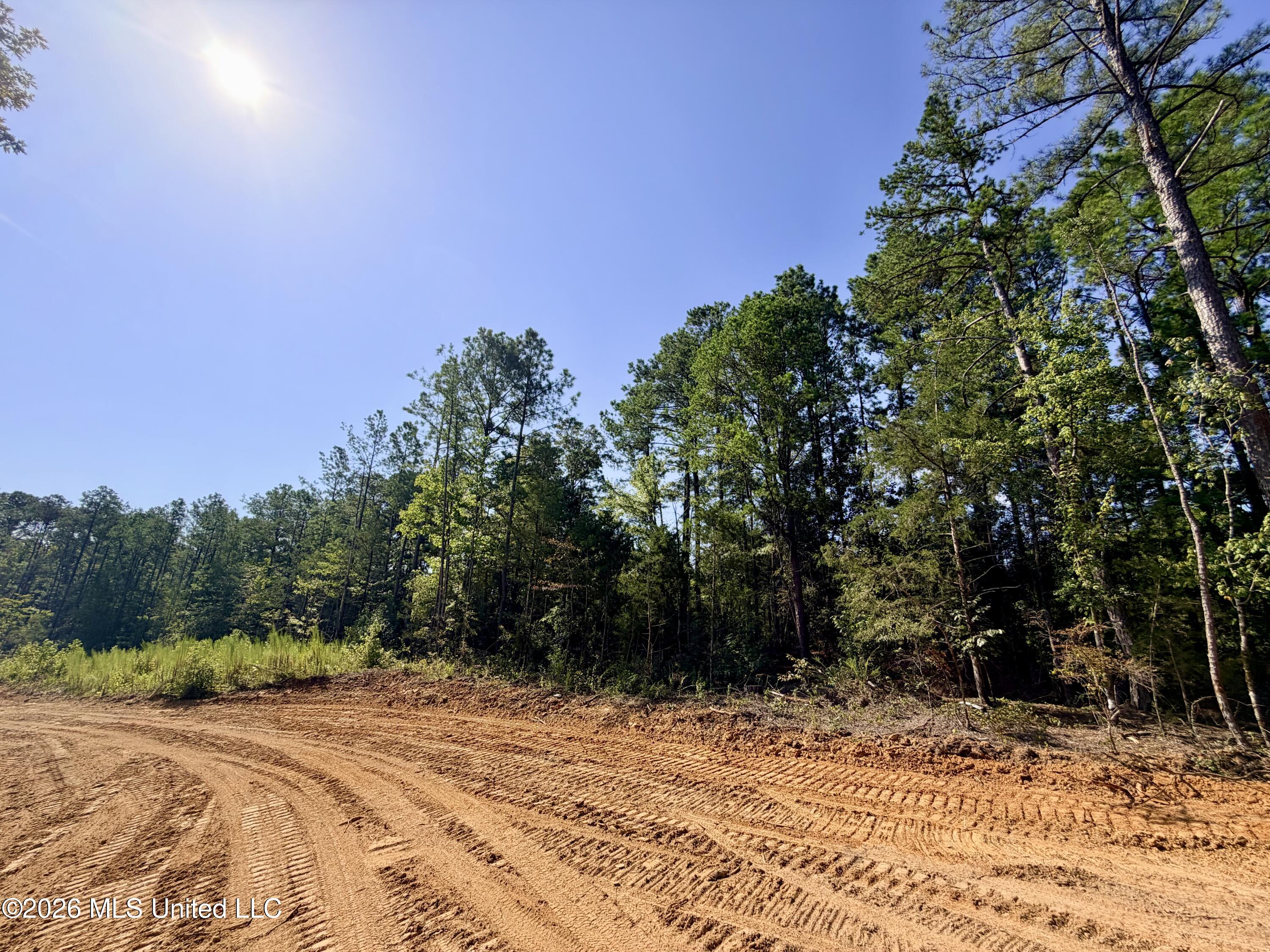 Terry Road Kosciusko, MS 39090 - Photo 9 of 17 IMG_1619