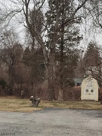a view of a yard with large trees