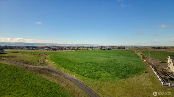 a view of a field with an ocean