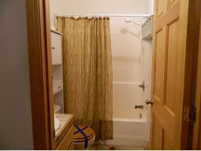 133 John Glover Road Hampton, TN 37658 - Photo 11 of 15 Master Bath