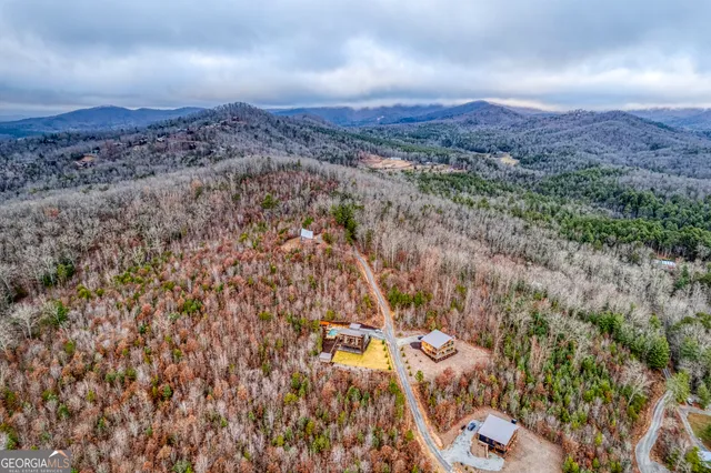 $1,399,000 | 1083 Synacia, Mineral Bluff, GA 30559