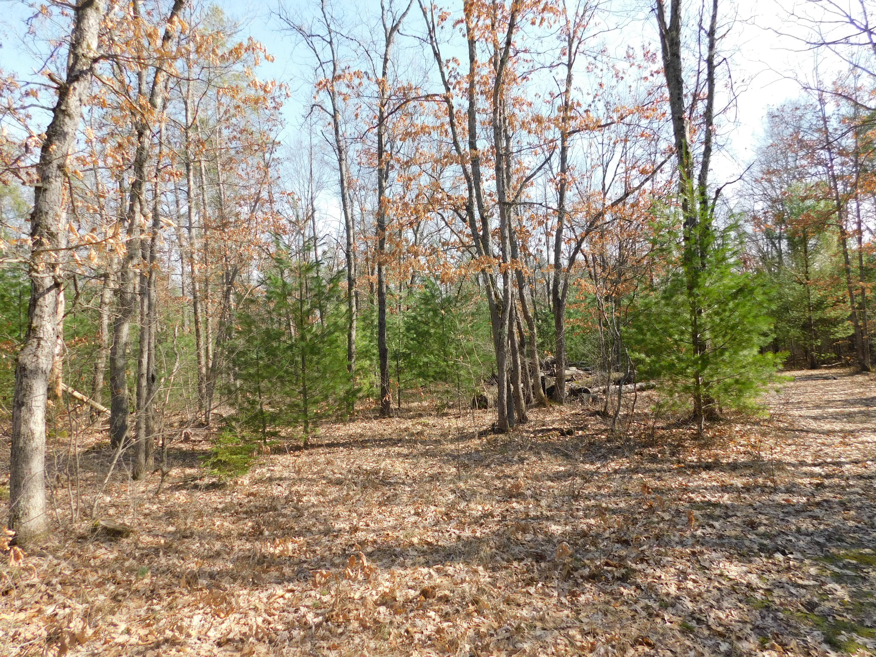 647 North Hart Road Wellston, MI 49689 - Photo 14 of 19 DSCN1512