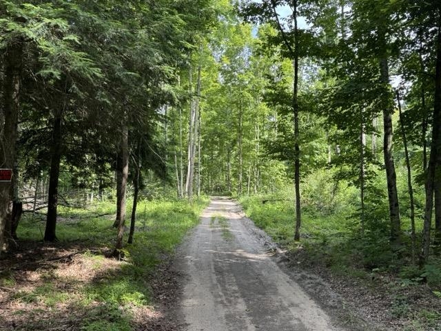 0 West Beeman Road, Unit WELLS CREEK RANCH Empire, MI 49630 - Photo 11 of 17