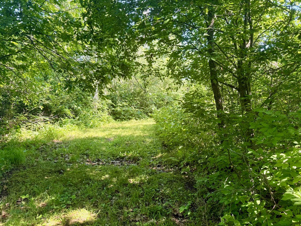 38252 Cloverdale Road Hinckley, MN 55037 - Photo 12 of 54