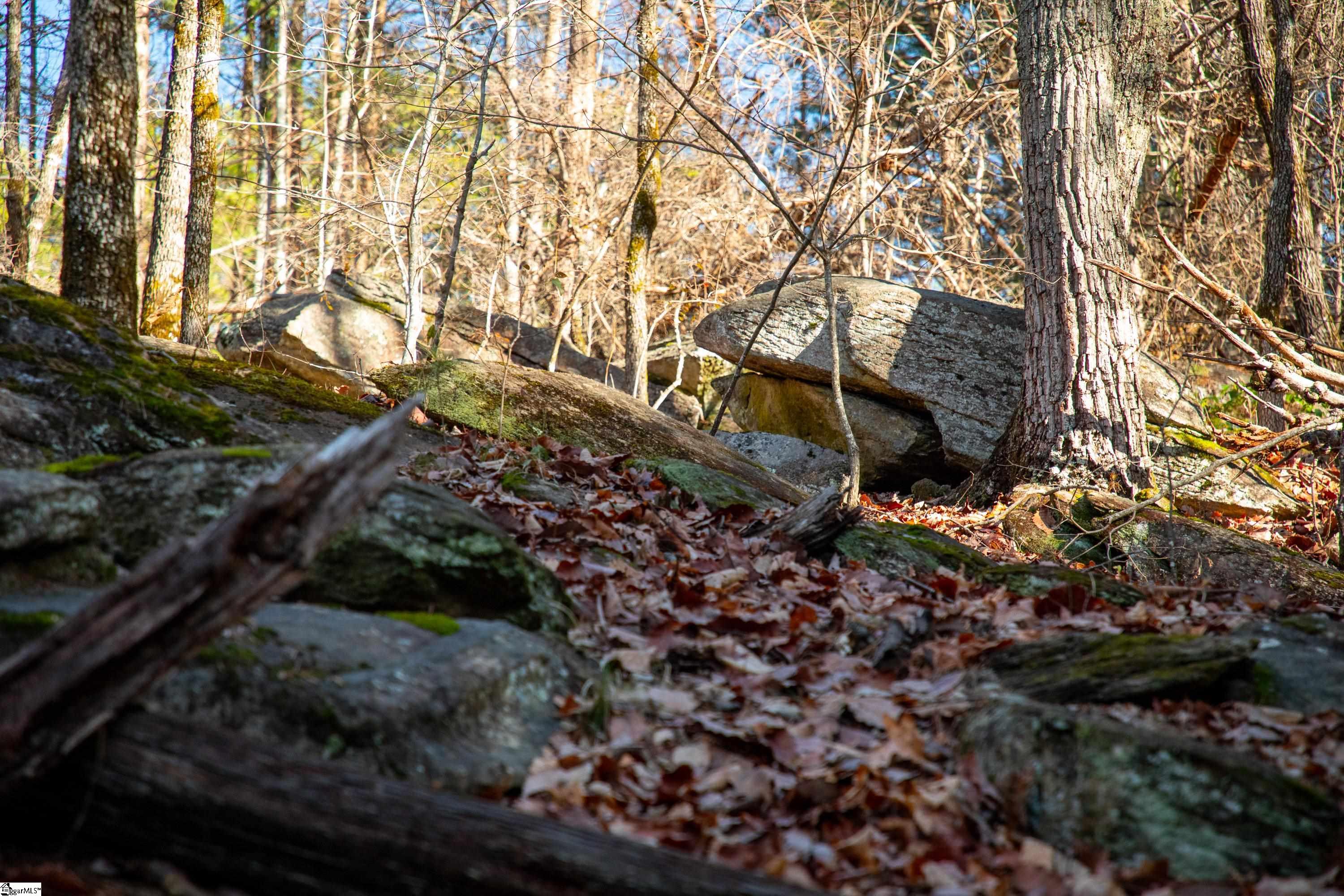 2 Smeltzer Mountain Road Salem, SC 29676 - Photo 8 of 11 Gallery Image 8