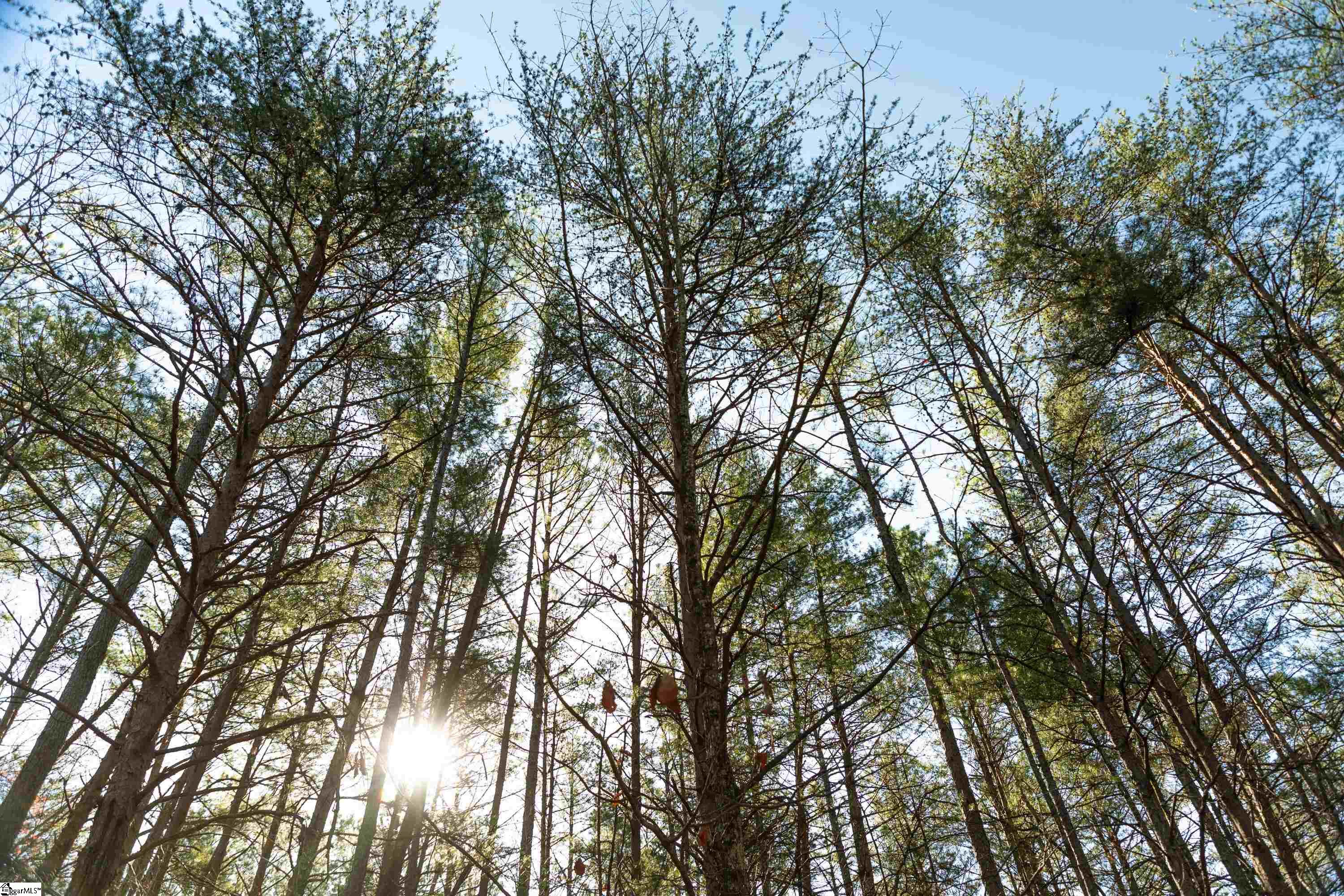 2 Smeltzer Mountain Road Salem, SC 29676 - Photo 10 of 11 Gallery Image 10