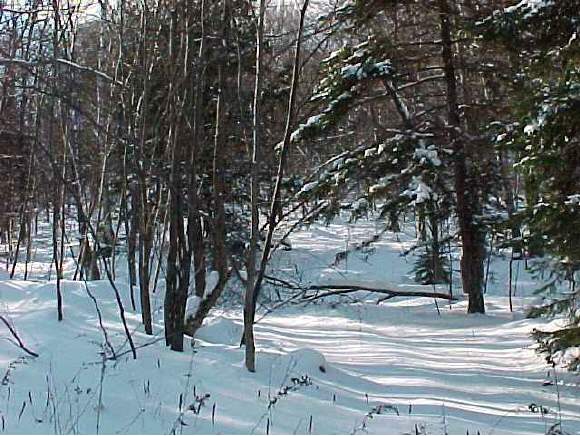 0 Off German Flats Road Fayston, VT 05673 - Photo 1 of 2 Gallery Image 1