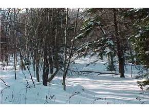 0 Off German Flats Road Fayston, VT 05673 - Photo 2 of 2 Gallery Image 2