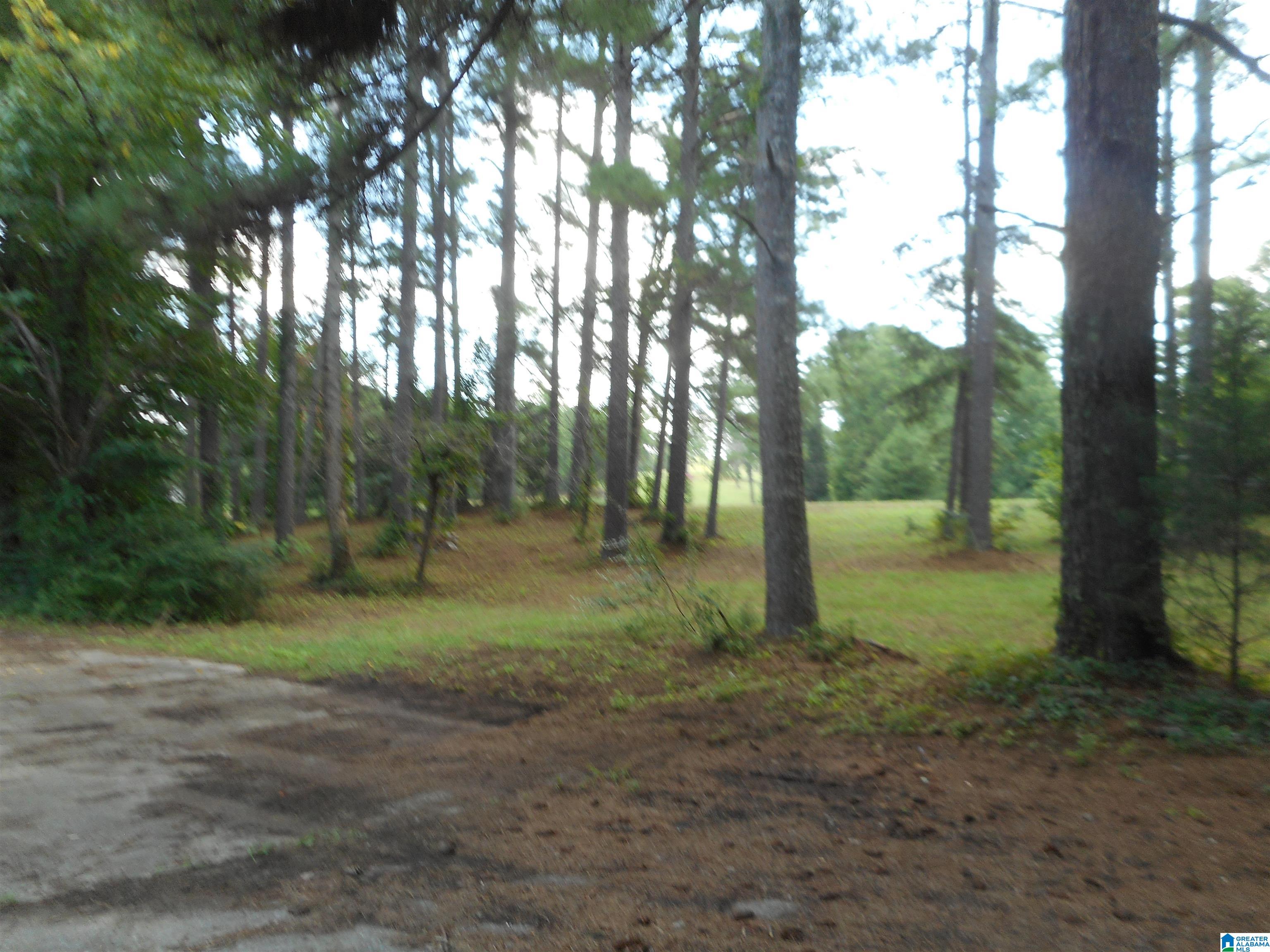 9022 Marsh Mountain Road Pinson, AL 35126 - Photo 21 of 27
