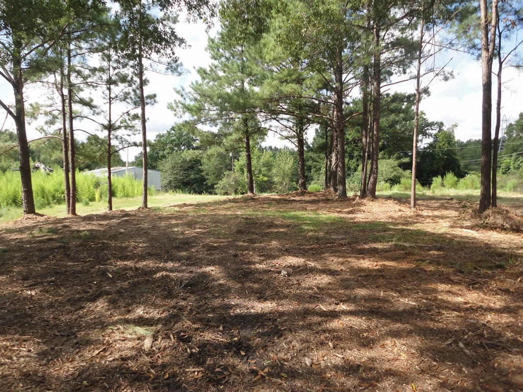 0 South 1st Street Brookhaven, MS 39601 - Photo 14 of 14 Photo 14