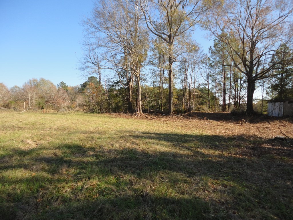 0 South 1st Street Brookhaven, MS 39601 - Photo 3 of 14 Photo 3
