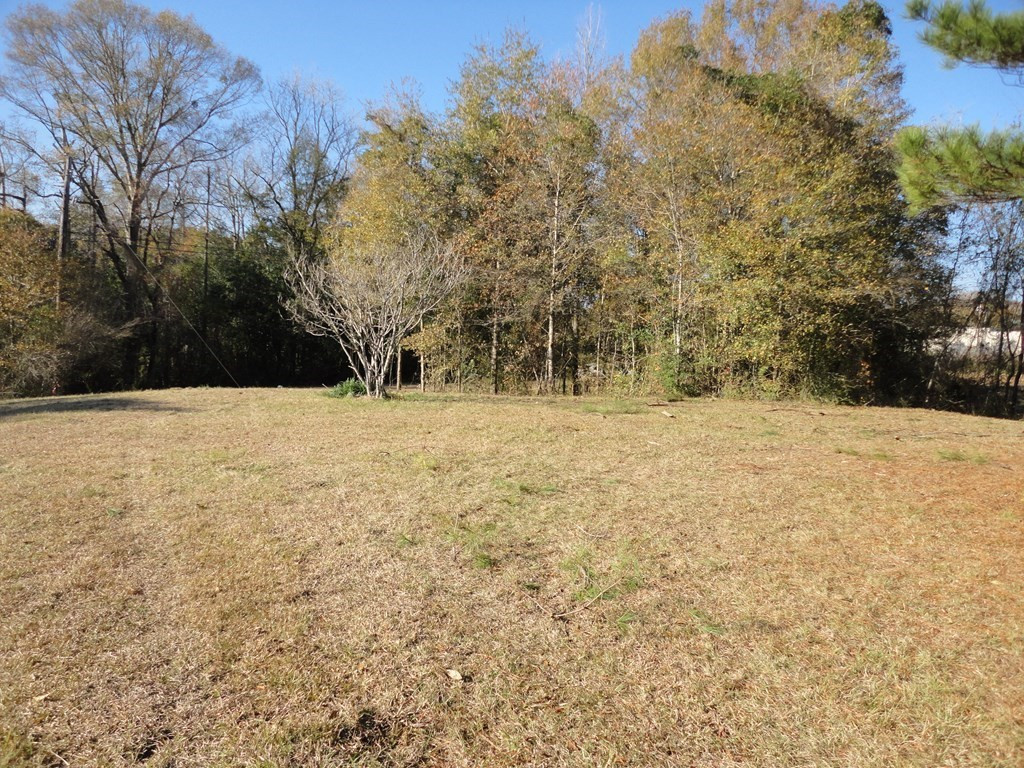 0 South 1st Street Brookhaven, MS 39601 - Photo 6 of 14 Photo 6