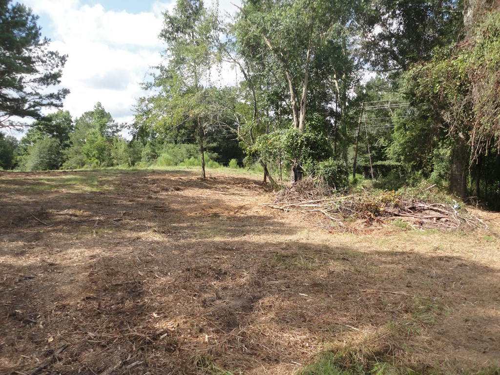 0 South 1st Street Brookhaven, MS 39601 - Photo 10 of 14 Photo 10