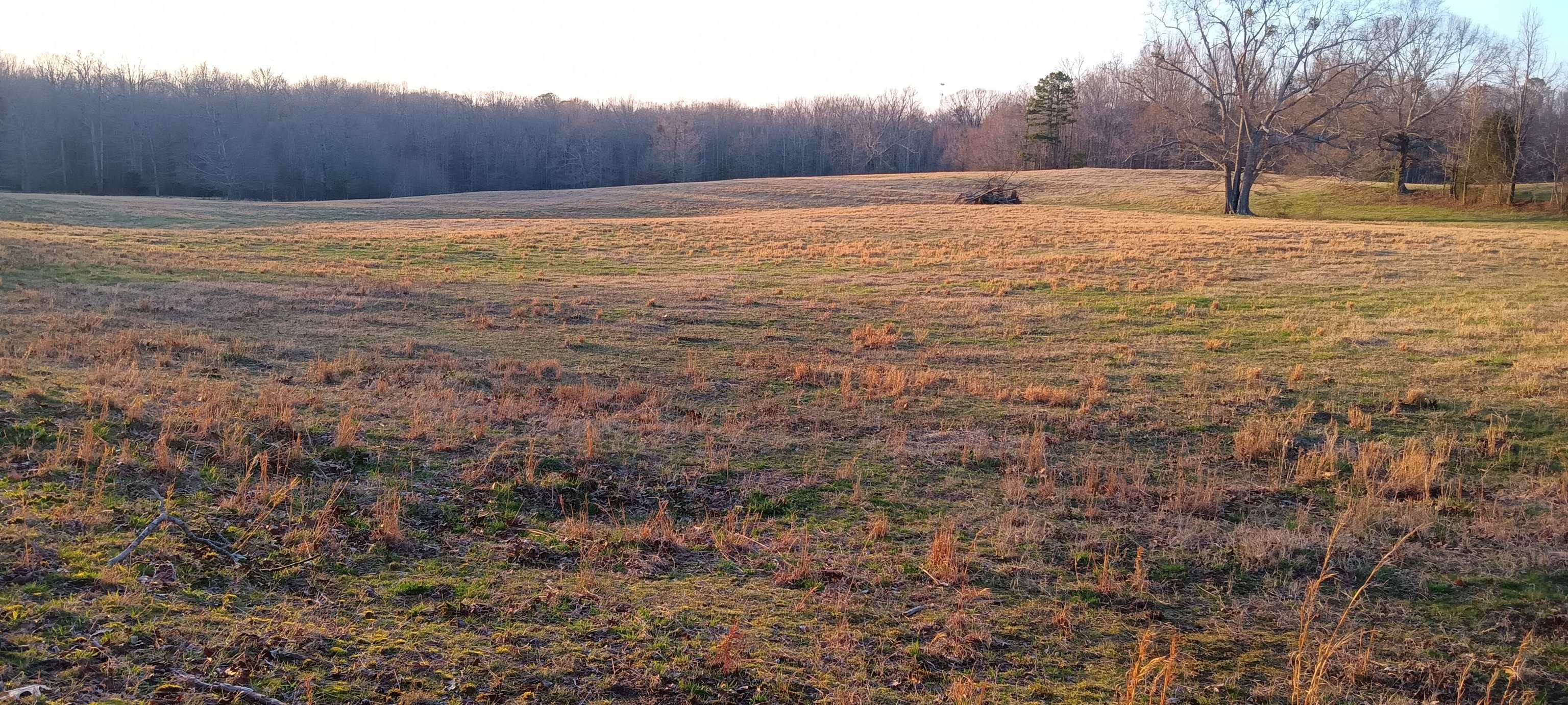 6535 Midway Road Williamston, SC 29697 - Photo 46 of 50 Gallery Image 46