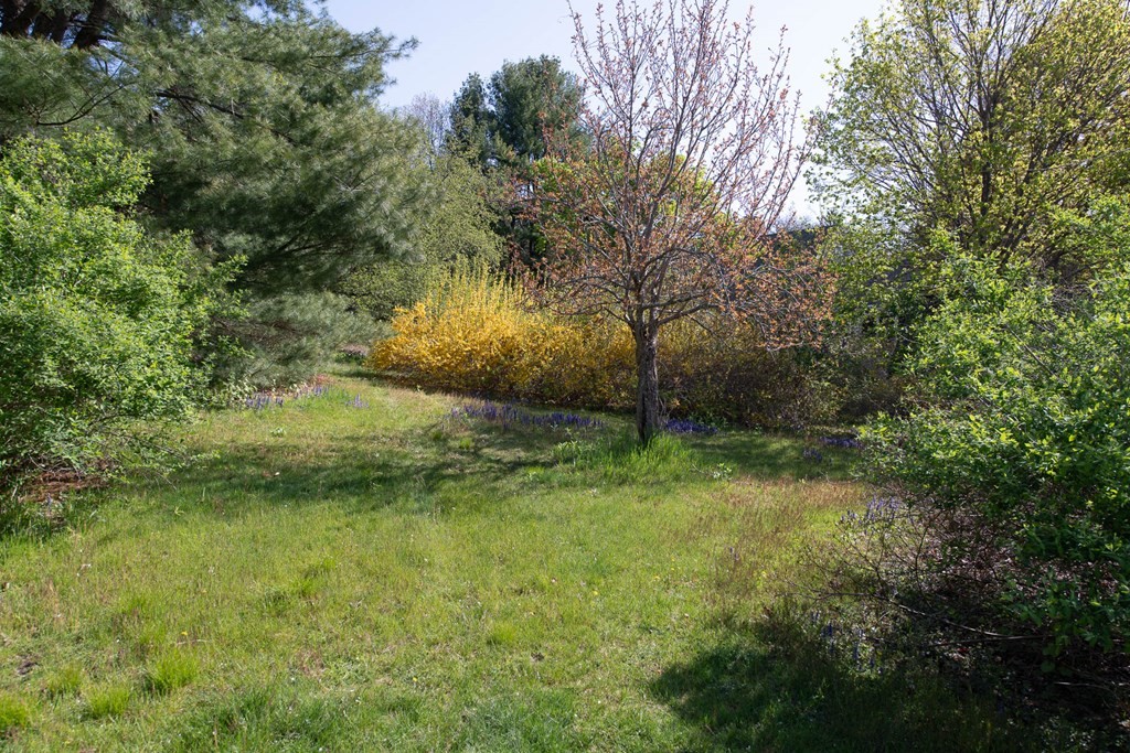 30 Myles Standish Road Weston, MA 02493 - Photo 33 of 42 Gallery Image 33