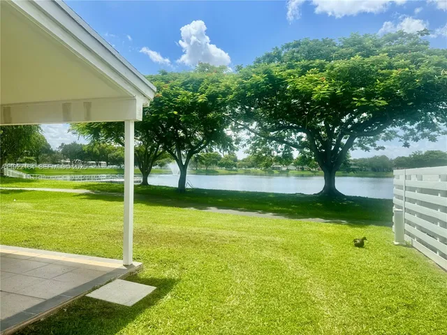 a view of a park with large trees