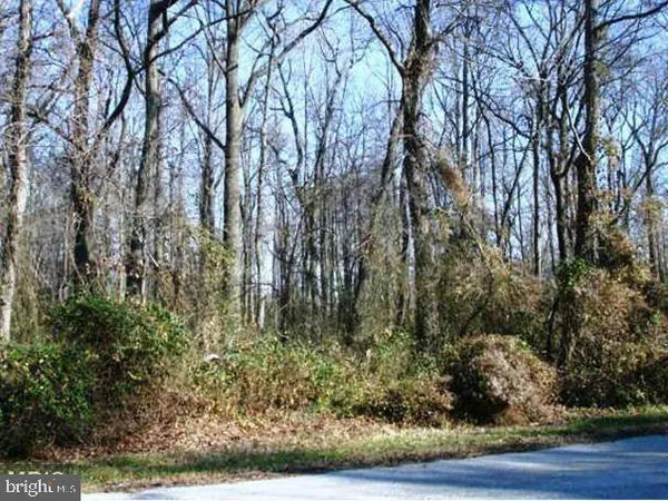 a view of a yard