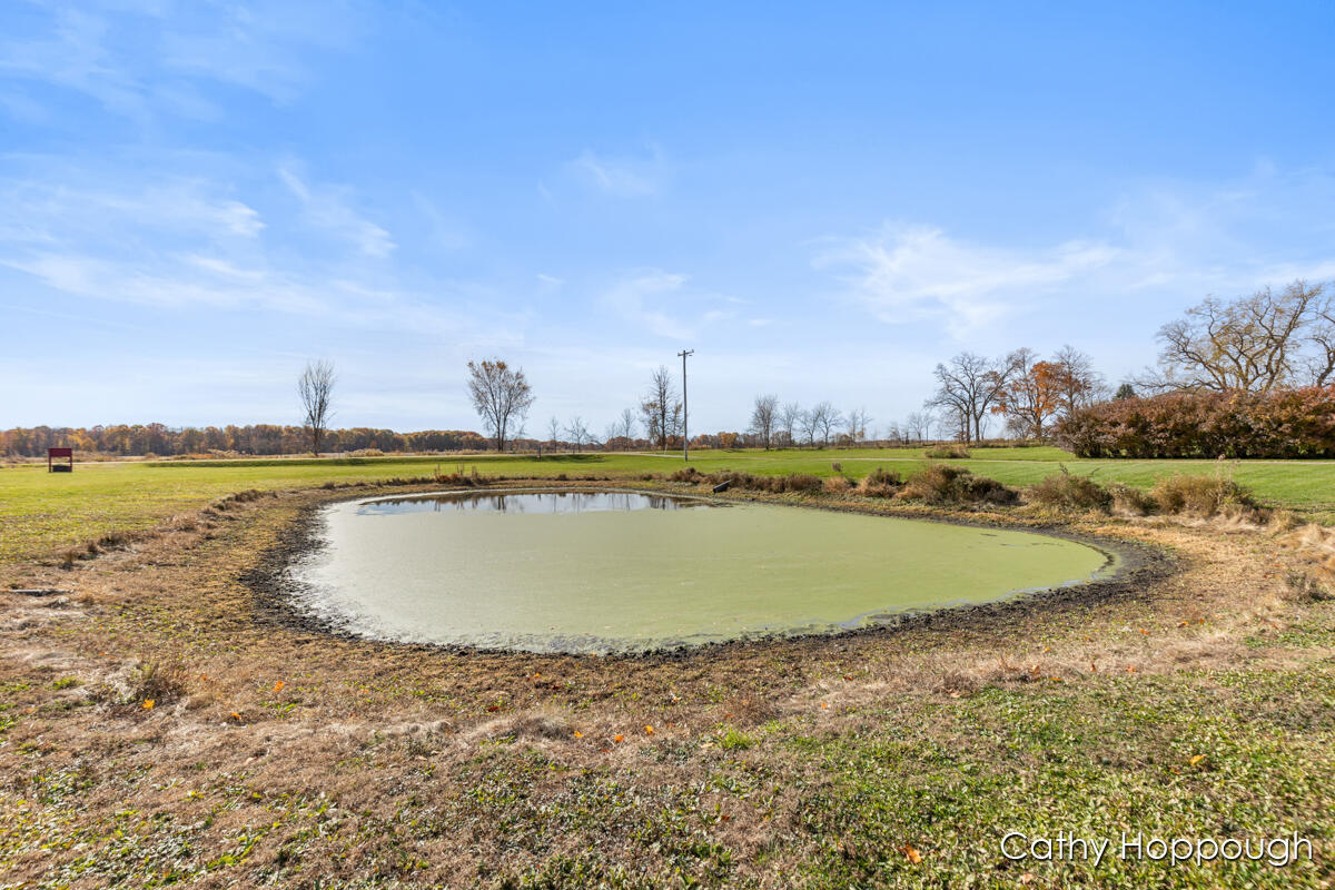 3494 Bradford Road Ionia, MI 48846 - Photo 35 of 48