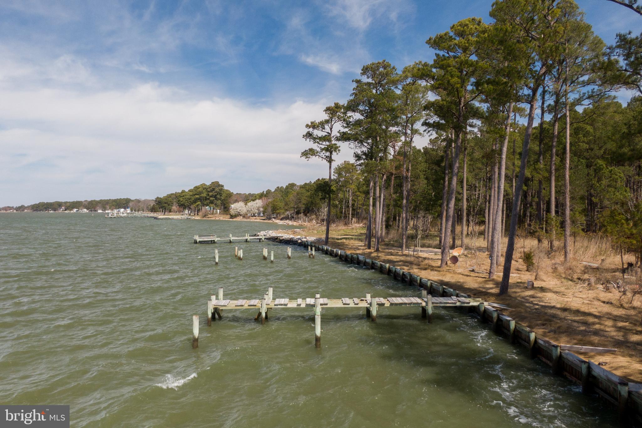 20174 Nanticoke Road Nanticoke, MD 21840 - Photo 11 of 48 a view of lake with mountain