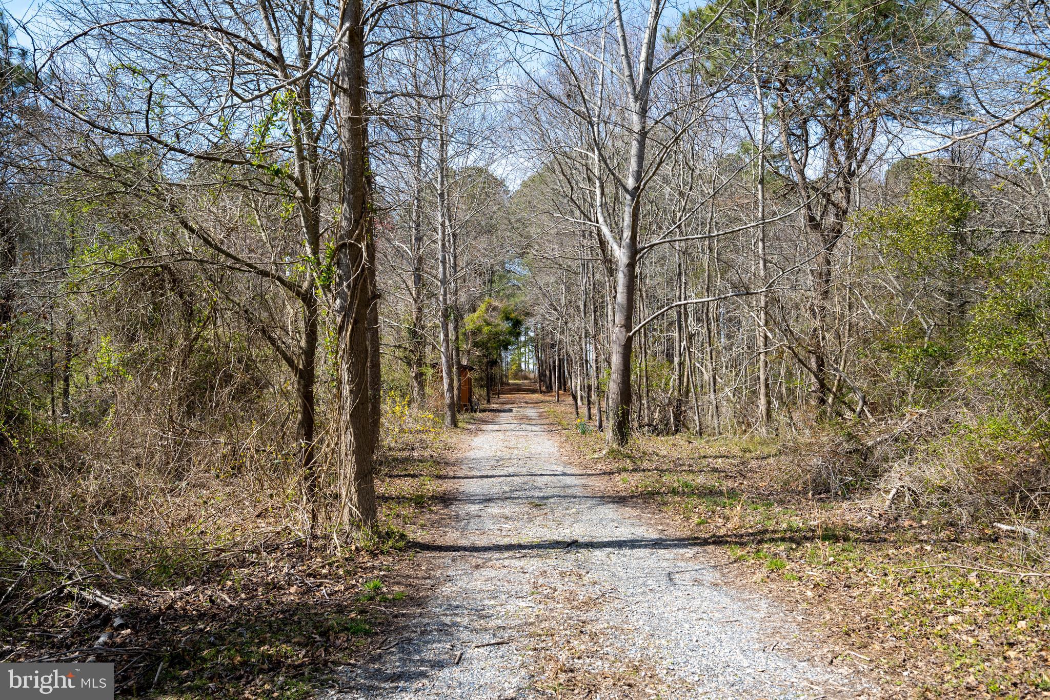 20174 Nanticoke Road Nanticoke, MD 21840 - Photo 19 of 48 a view of yard