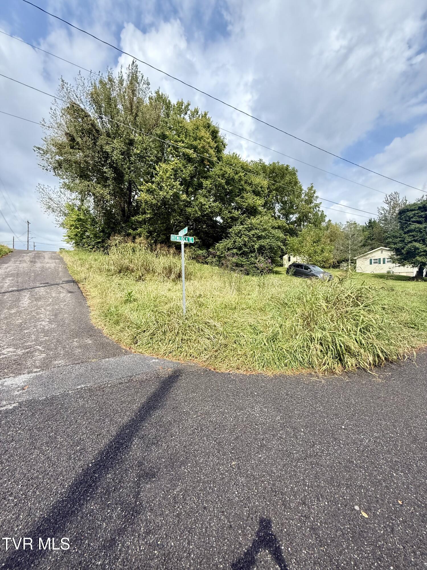 0 Hemlock Drive Bristol, VA 24201 - Photo 5 of 9 0.089 acre