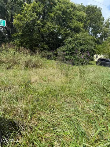 $14,000 | 0 Hemlock Drive, Bristol, VA 24201