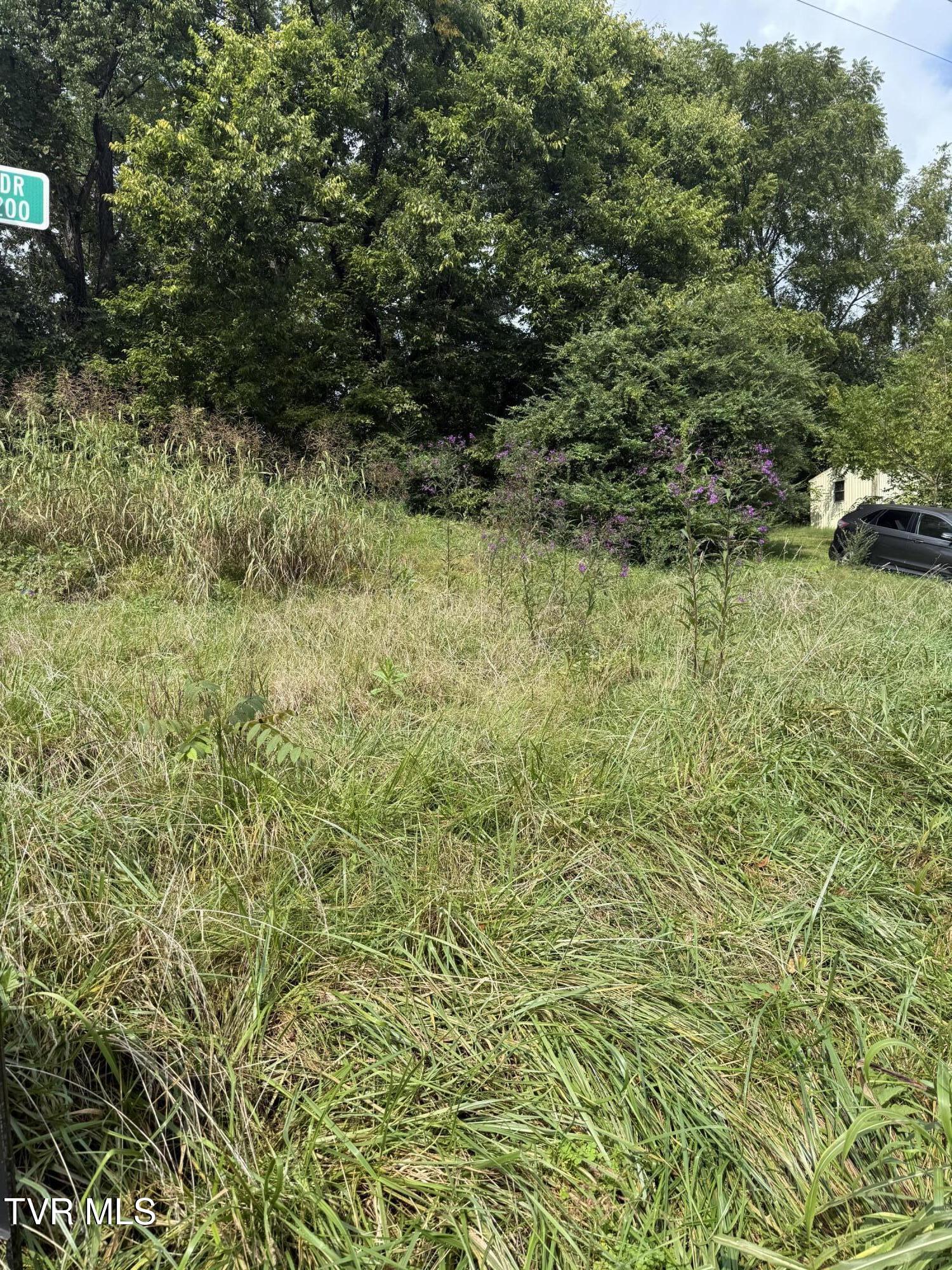 0 Hemlock Drive Bristol, VA 24201 - Photo 8 of 9 000 Hemlock