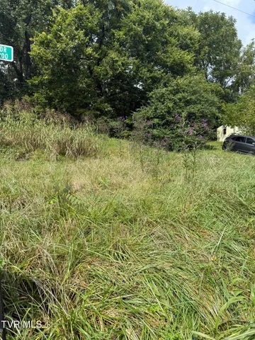 $14,000 | 0 Hemlock Drive, Bristol, VA 24201