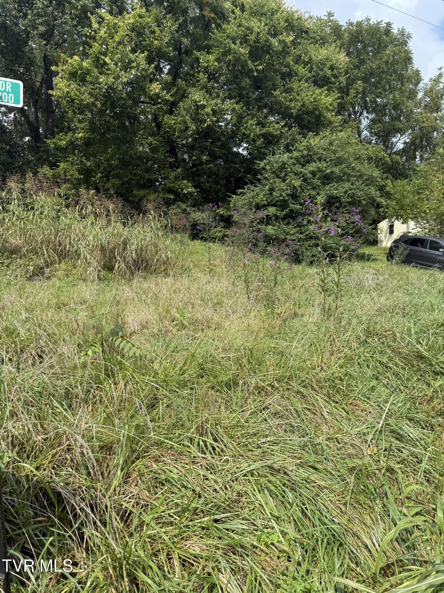 0 Hemlock Drive Bristol, VA 24201 - Photo 9 of 9 000 Hemlock Drive