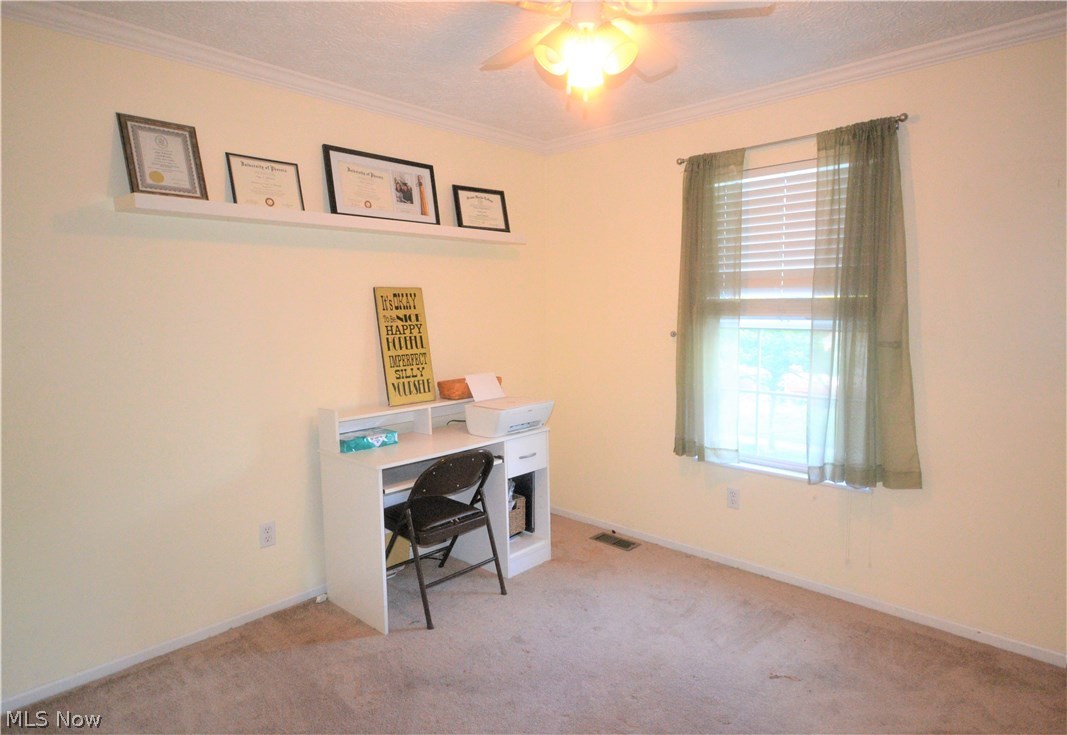 248 Ripley Avenue Akron, OH 44312 - Photo 10 of 14 Gallery Image 10
