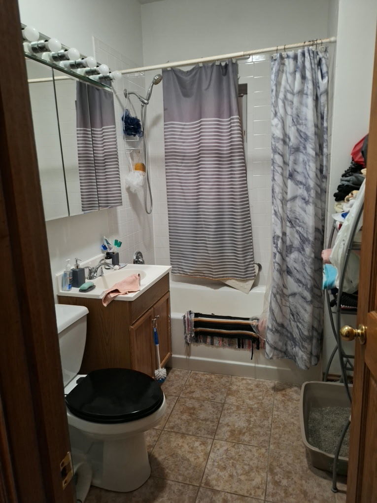 6541 South Carpenter Street Chicago, IL 60621 - Photo 29 of 32 a bathroom with a sink toilet and shower