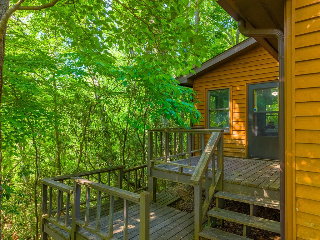 171 High Splendor Drive Robbinsville, NC 28771 - Photo 48 of 62