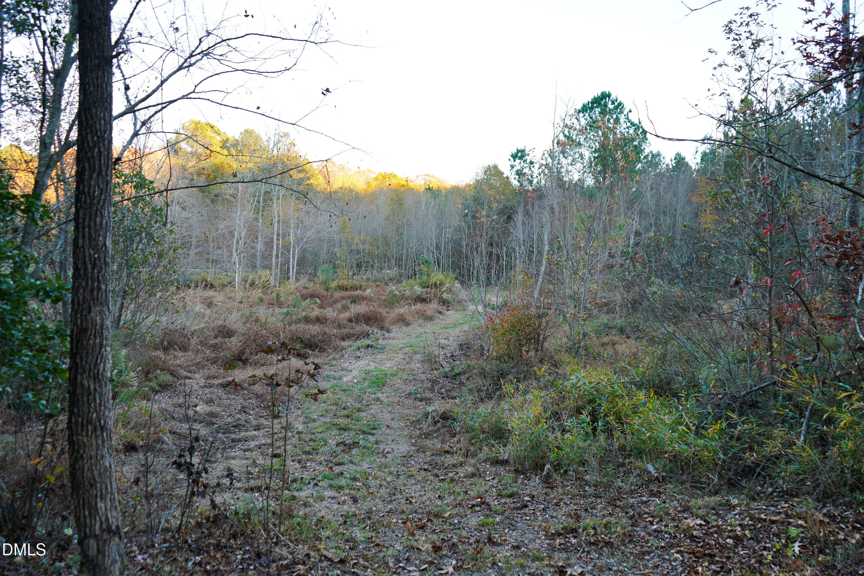 24-acres Wiley Road Spring Hope, NC 27882 - Photo 12 of 39 12