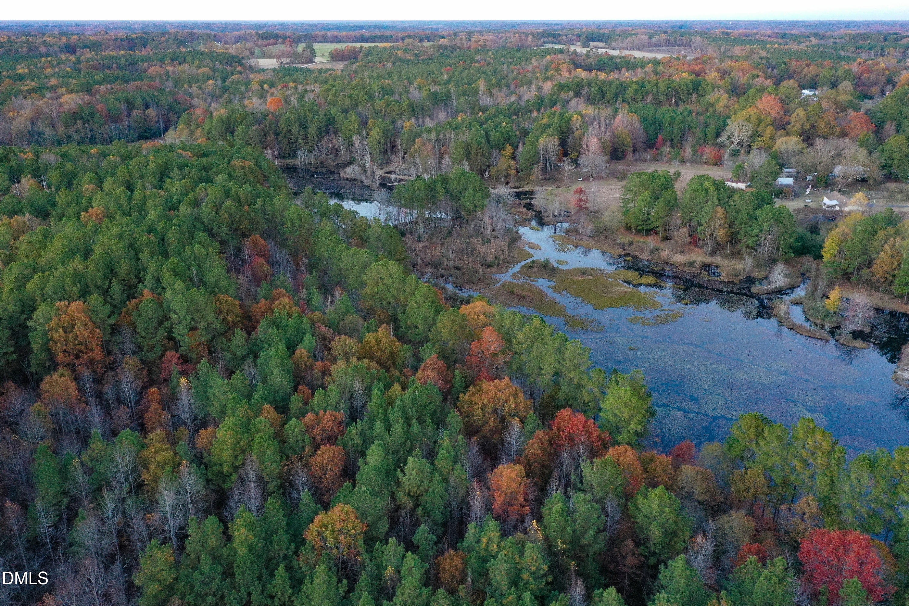 24-acres Wiley Road Spring Hope, NC 27882 - Photo 14 of 39 14