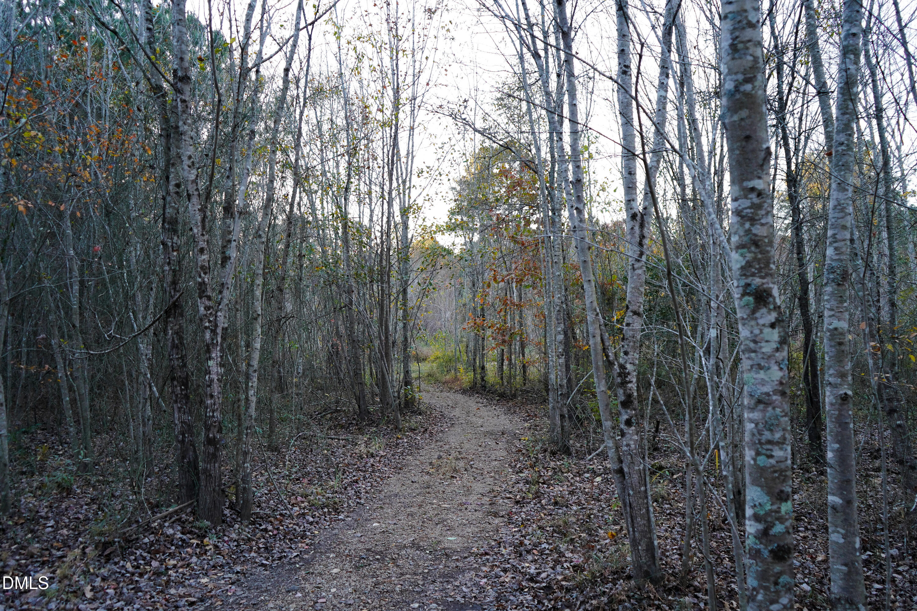 24-acres Wiley Road Spring Hope, NC 27882 - Photo 17 of 39 17