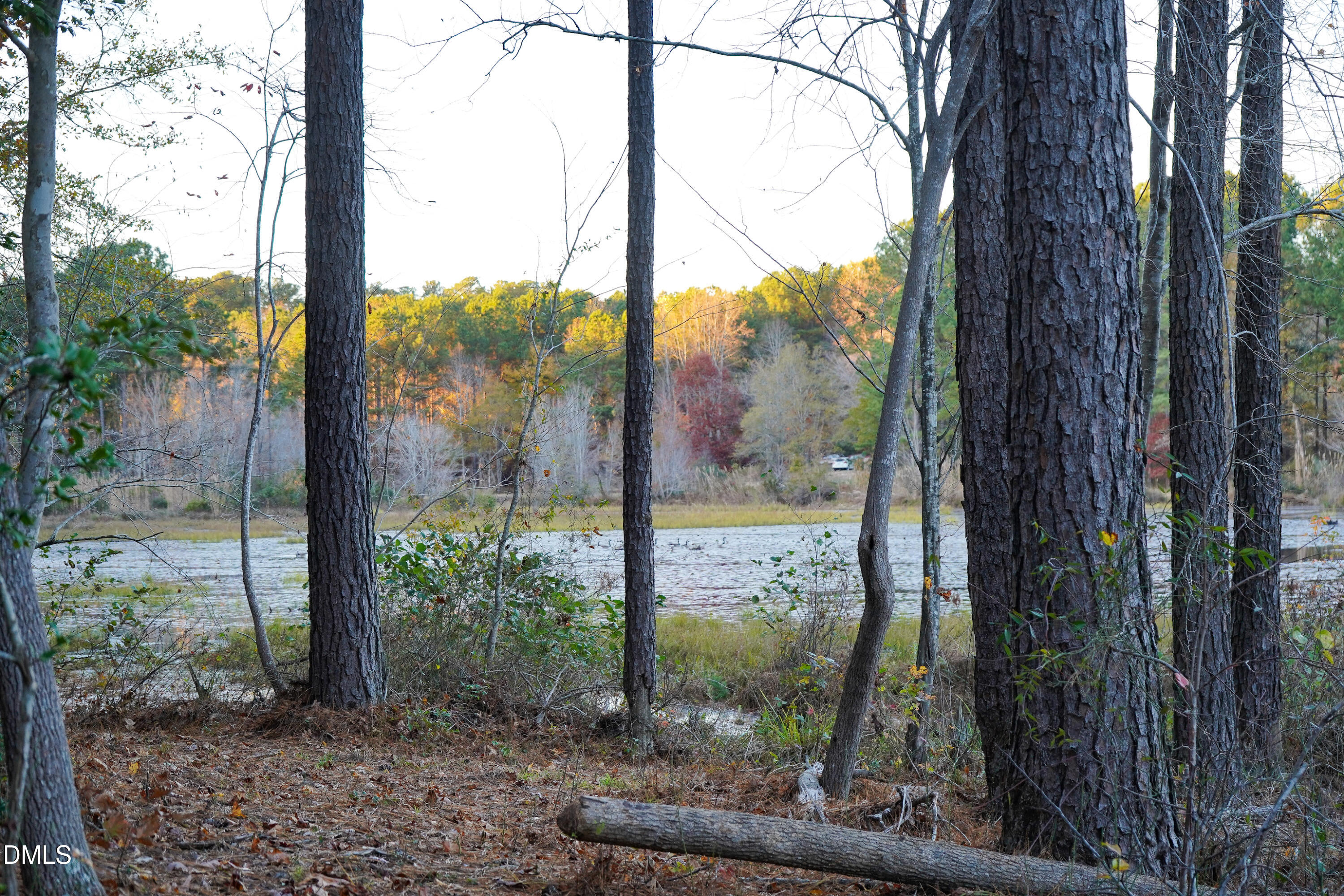 24-acres Wiley Road Spring Hope, NC 27882 - Photo 19 of 39 19