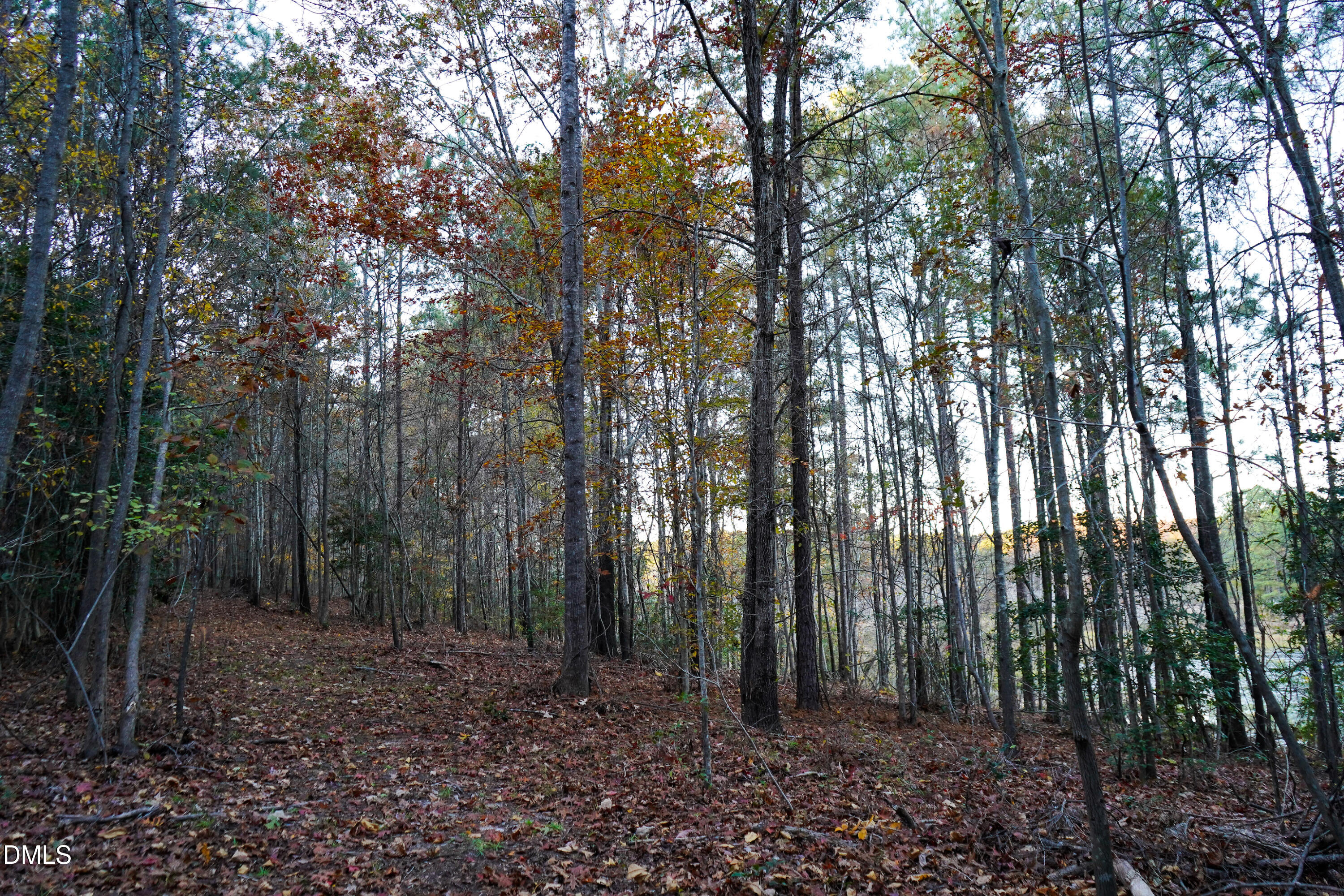 24-acres Wiley Road Spring Hope, NC 27882 - Photo 22 of 39 22