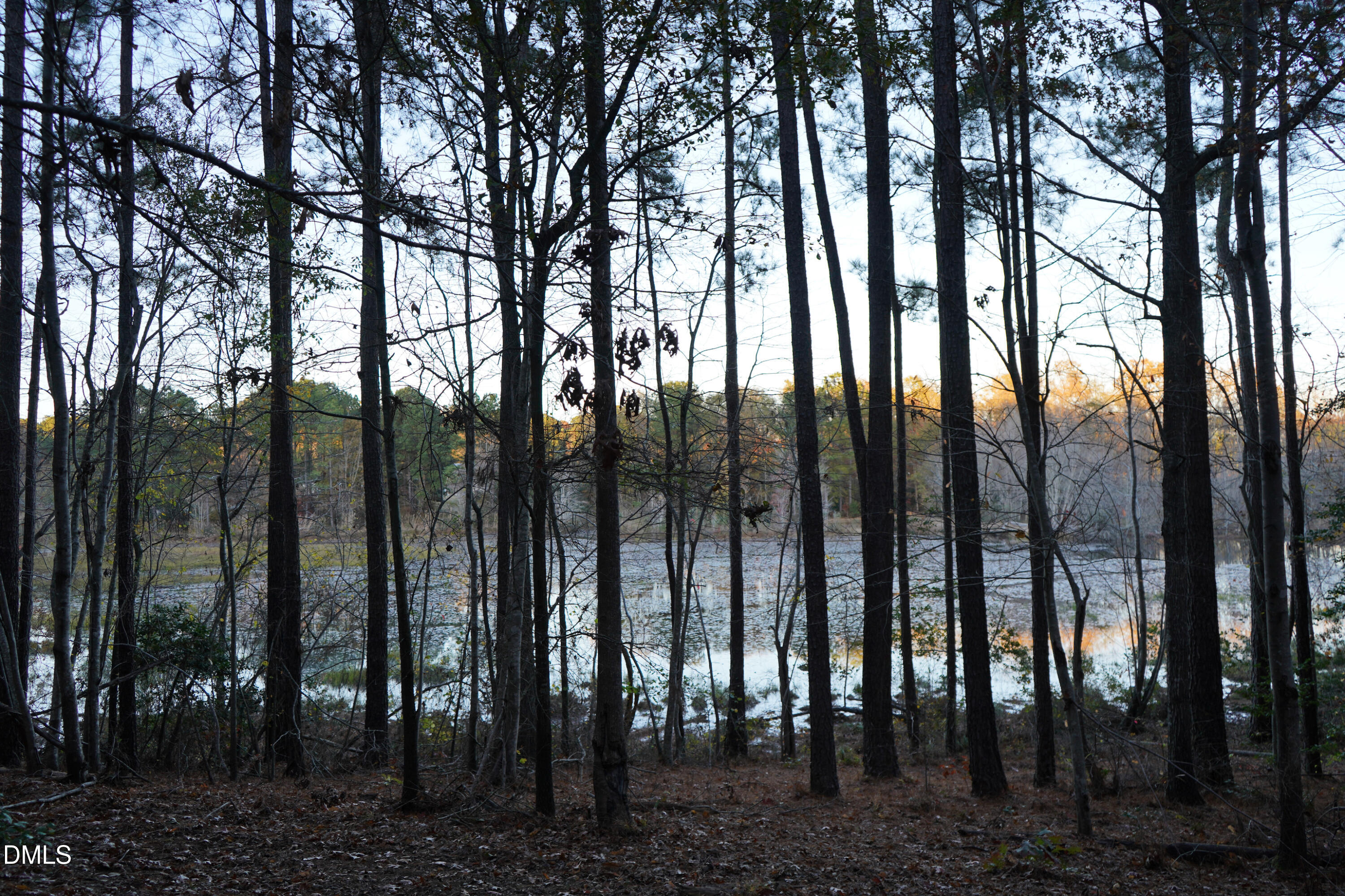 24-acres Wiley Road Spring Hope, NC 27882 - Photo 31 of 39 31