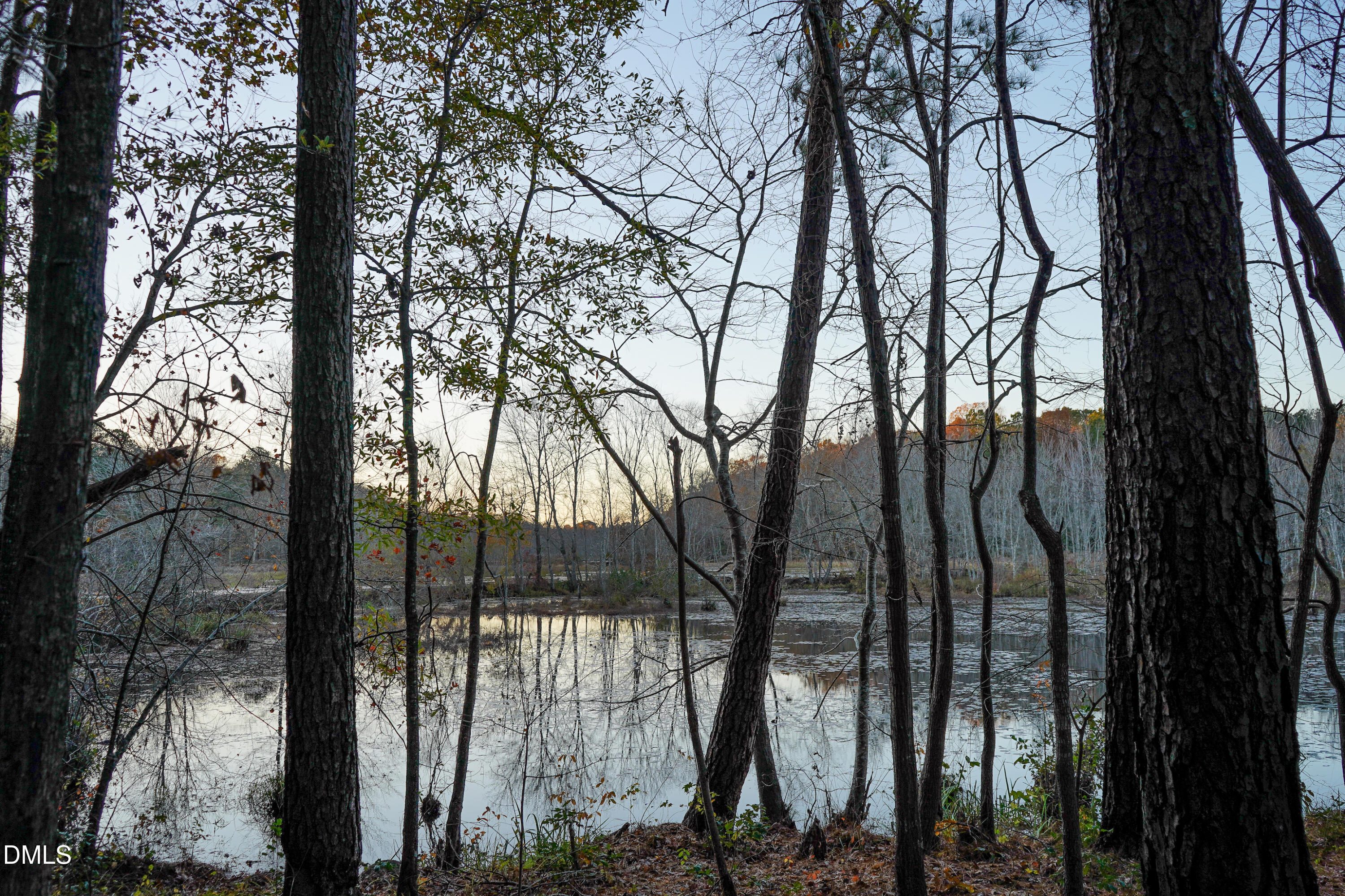 24-acres Wiley Road Spring Hope, NC 27882 - Photo 32 of 39 32