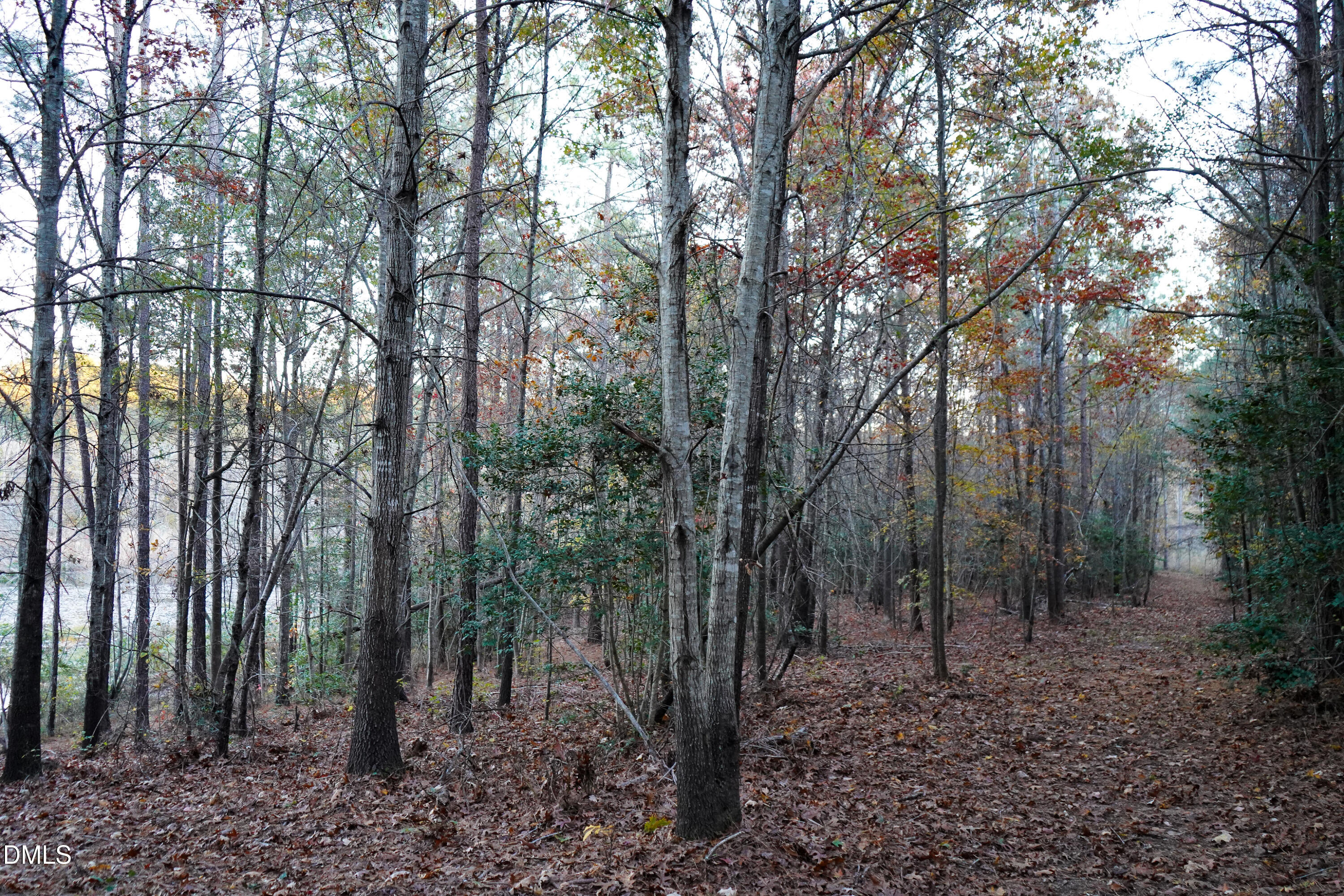 24-acres Wiley Road Spring Hope, NC 27882 - Photo 34 of 39 34