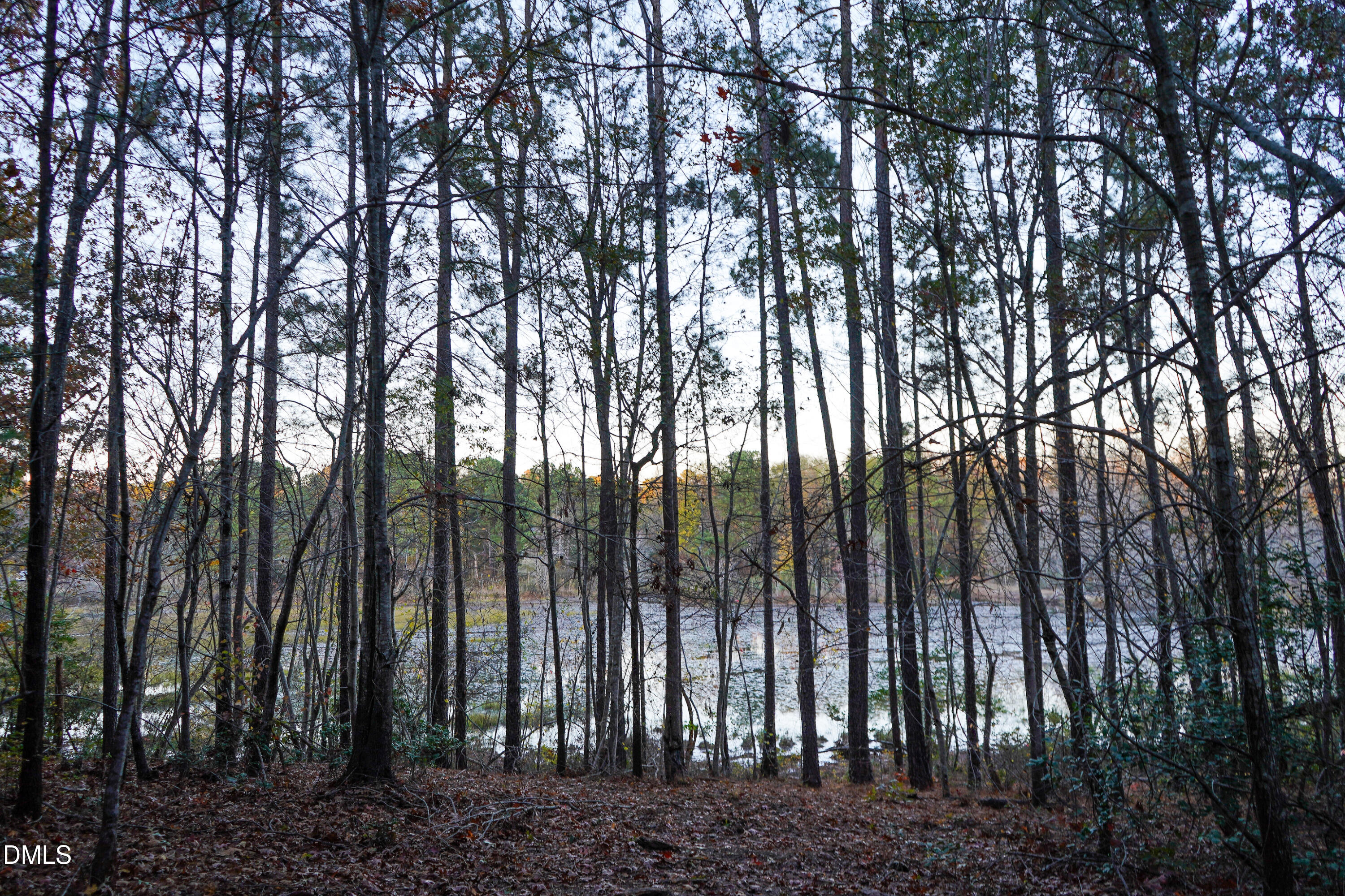 24-acres Wiley Road Spring Hope, NC 27882 - Photo 35 of 39 35