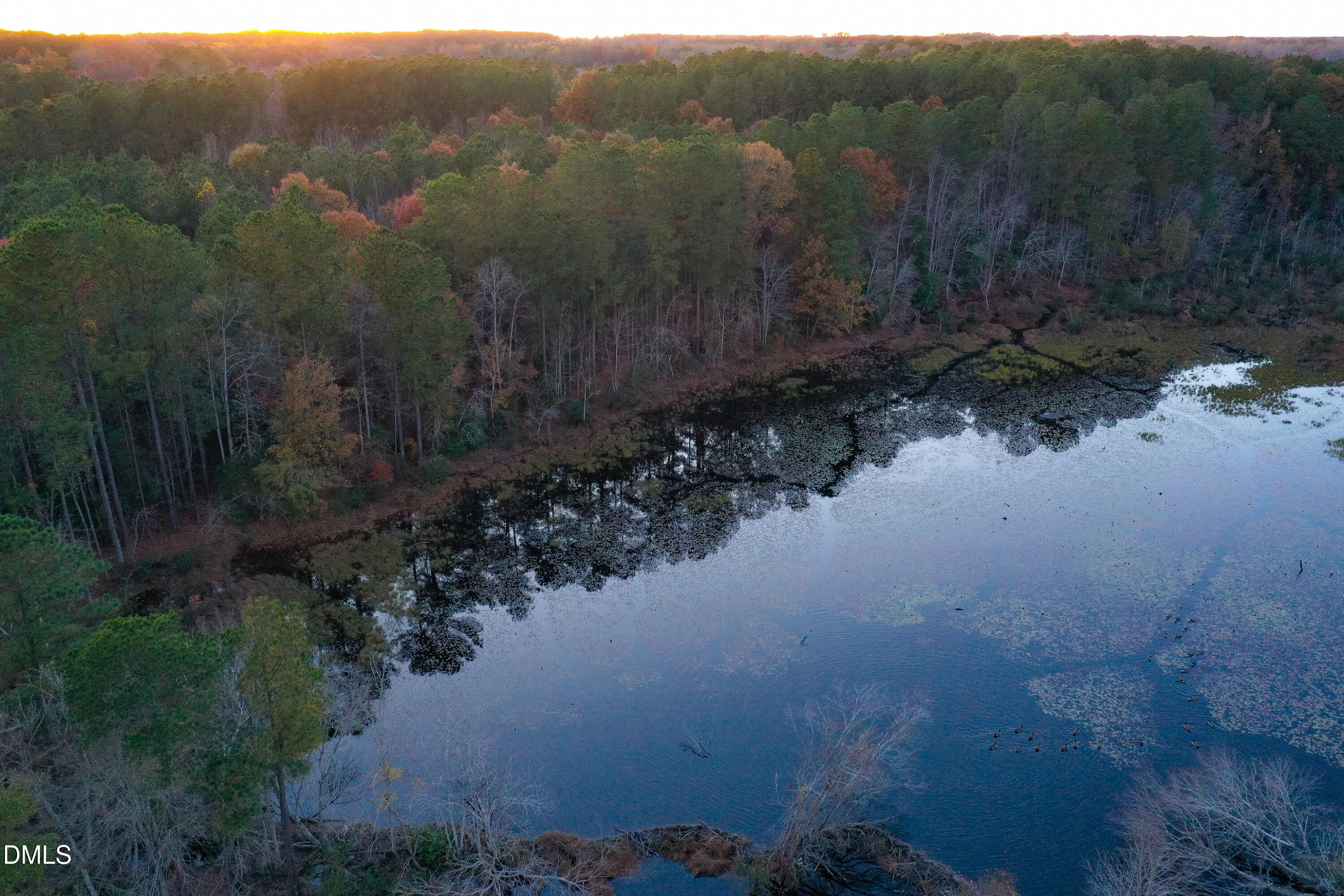 24-acres Wiley Road Spring Hope, NC 27882 - Photo 6 of 39 6