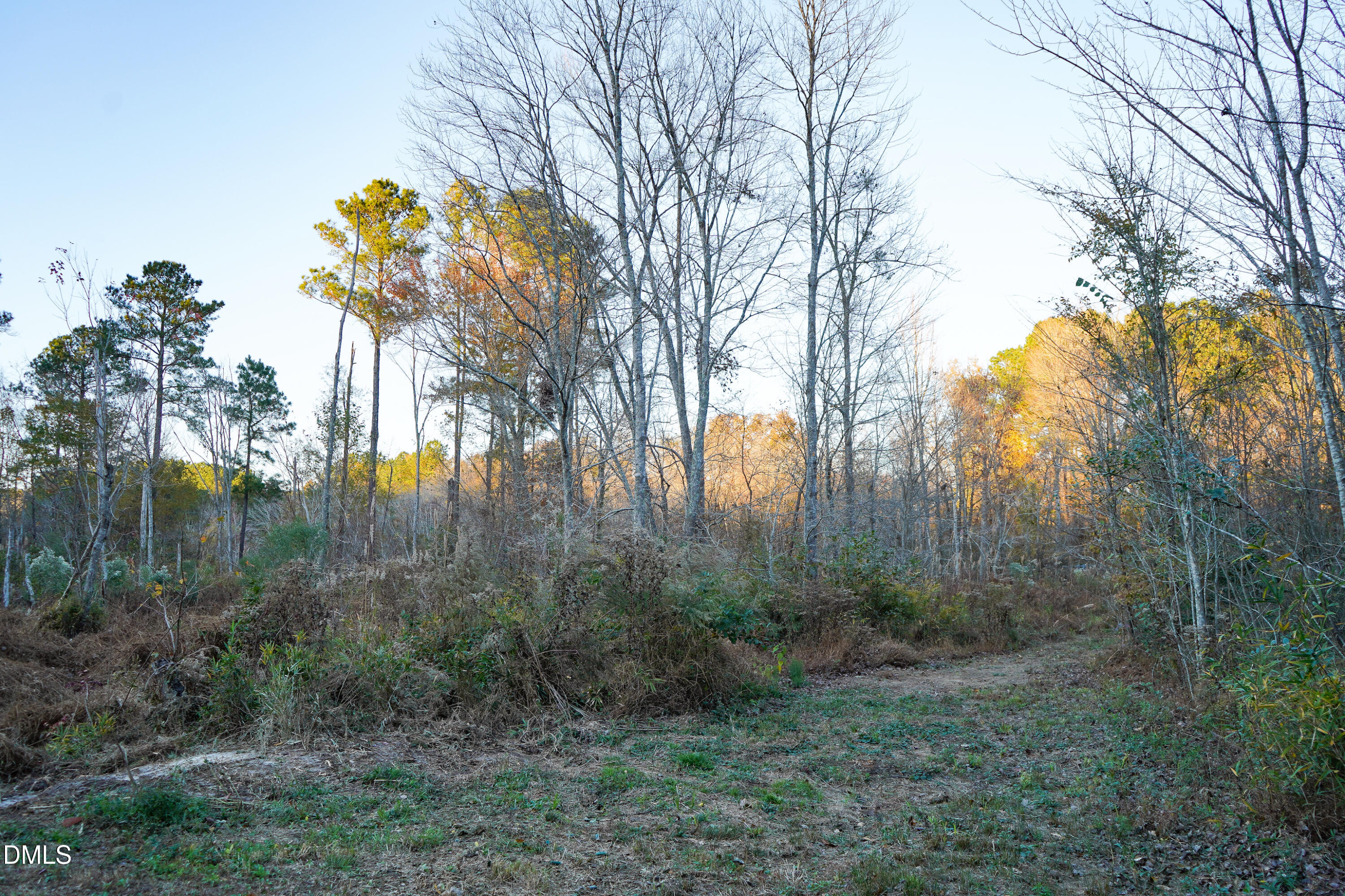 24-acres Wiley Road Spring Hope, NC 27882 - Photo 10 of 39 10