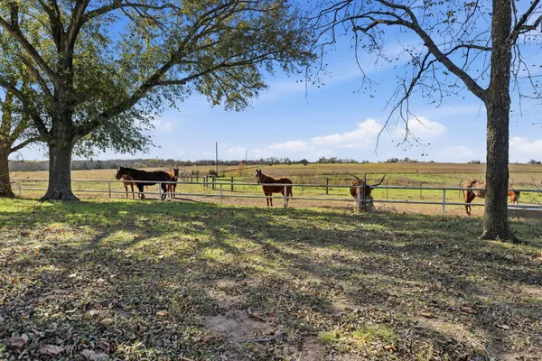 $2,869,992 | 6921 Schulz Lane, Bleiblerville, TX 78931