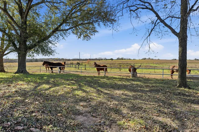 $3,507,768 | 6921 Schulz Lane, Bleiblerville, TX 78931