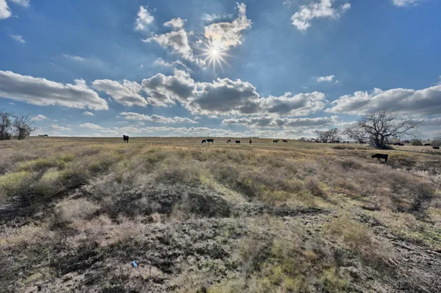 $3,507,768 | 6921 Schulz Lane, Bleiblerville, TX 78931