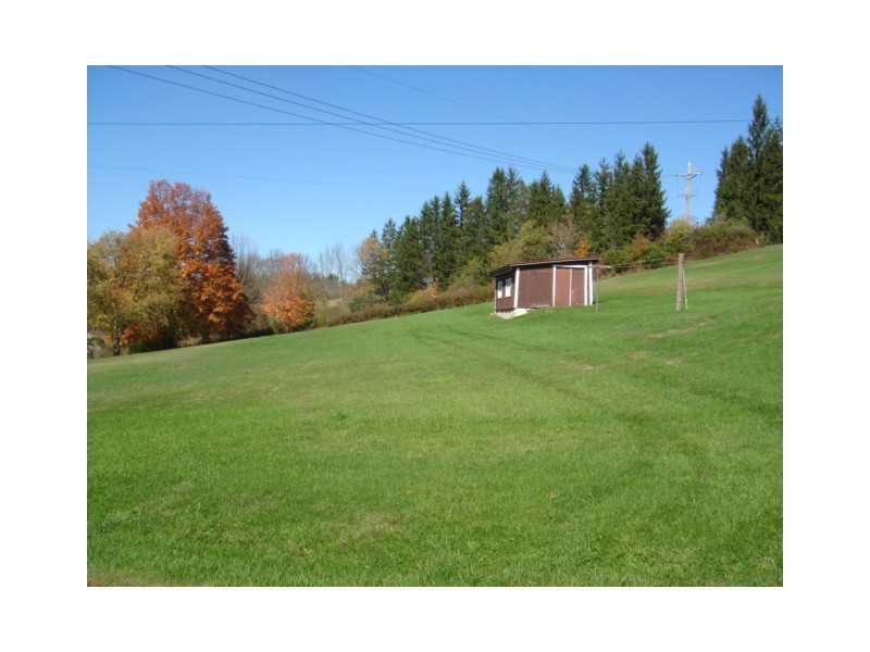 280 Michaels Road Meyersdale, PA 15552 - Photo 21 of 21 Yard/Garden.